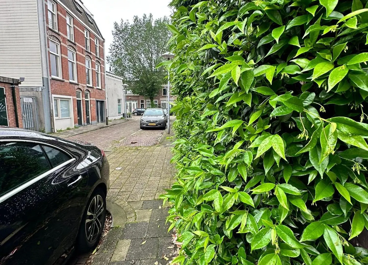 Single Bed Room In Homestay Utrecht 0*,  Paesi Bassi