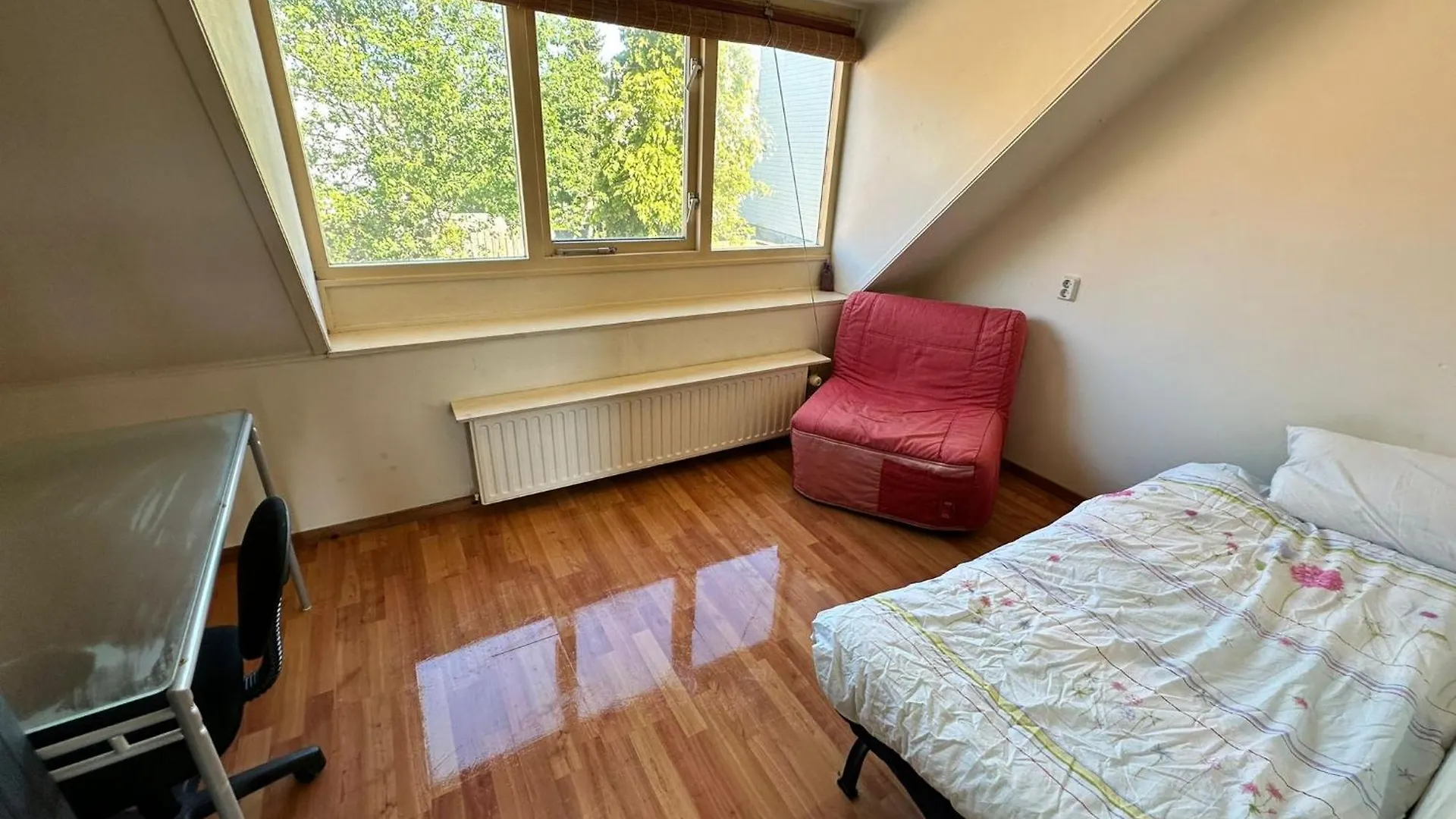 Single Bed Room In Homestay Utrecht